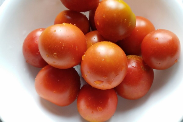 都心から郊外へ8 ミニトマト