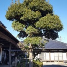 最終形はこれかな・・～笑