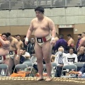 全国学生相撲選抜宇和島大会結果報告