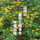 あんなんで･･･119