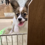 ワンラブ　カインズ広島LECT店のブログ