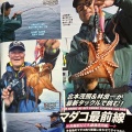 マダコ最前線・隔週刊つり情報