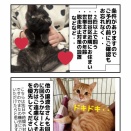 【要予約】里親会28日です！