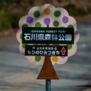 森林公園で春の芽生えを