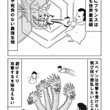 もう何ならここから見とけば大丈夫！薄っすらワールドカップ