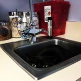 【画像】獣医を恐れて隠れてる（つもりの）猫たちが可愛い・・・