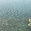 今日の海