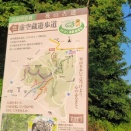 後山古道で、ヤマビルに15か所吸血される