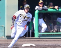 虎のドラ4ルーキー・遠藤が絶好調！サイクルならずも3安打・2打点と躍動
