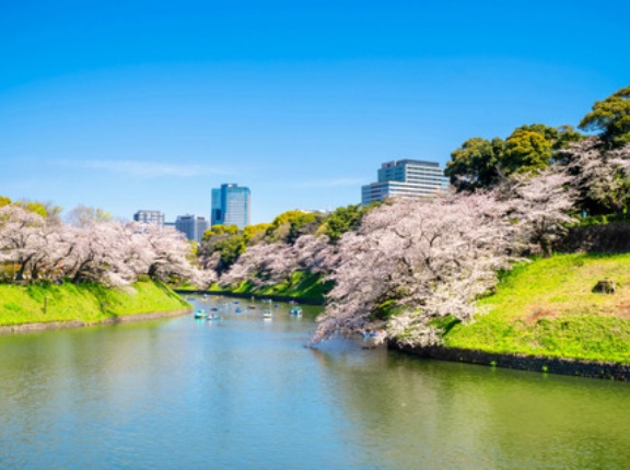 「東京」に行って驚くこと