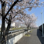 ホームステーション蓮根のblog