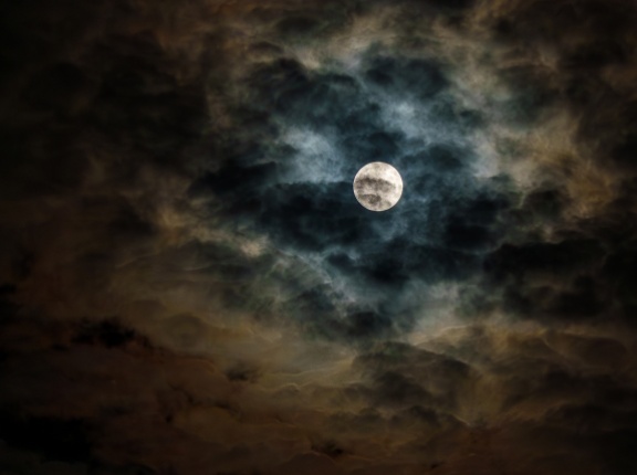 株式投資で怖いと感じること