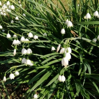 ちょっと幸せ、ずーっと幸せ