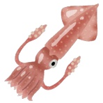 アウトドアまとめ