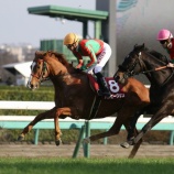 『【遠征結果】⑧ハッピーグリン（牡4＝田中淳司厩舎）、中山記念に出走！』の画像