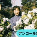 日活スター女優シリーズ　芦川いづみ「あじさいの歌」（アンコール無料配信）（1960）