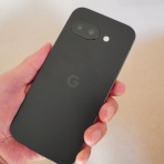 豆柴麦うた日記