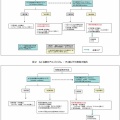 ◉円形脱毛症　にお悩みの方へ💦