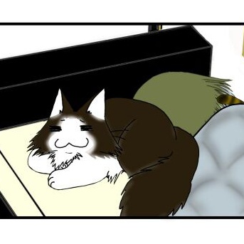 【猫との暮らし】寒波が来ても平気になったワケ