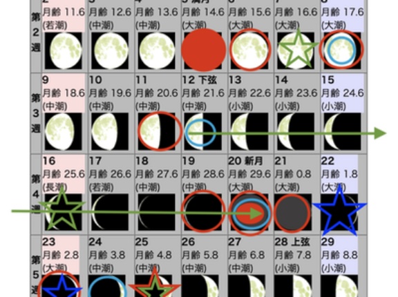 2025年11月の自然観察日
