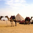 世界遺産ピラミッド閑散、暇もてあますラクダ使い「客６～７割減った」…中東観光地へのツアーキャンセル相次ぐ