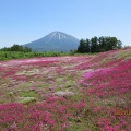夏の旅6月７～羊蹄山の山麓はとっても自然豊か❗️京極町・倶知安町