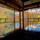 何度訪れても美しい 瑠璃光院（2025 秋）