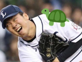 亀「可愛いです、飼育費用安いです、長生きします」 何故人気ないのか？