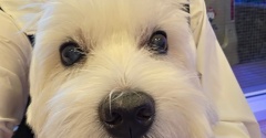 はじめての眼科物語