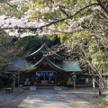 長宗我部ゆかりの若宮八幡宮