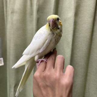 小動物コーナー