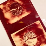 久保元幸印画研究室　　　　　　　　　　　　　　　　　　Motoyuki Kubo Printing Laboratory