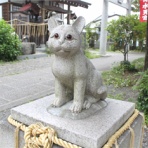 ねこ家タイムズ