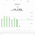 年間平均歩数