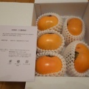 NECキャピタルソリューション