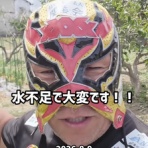 地域共生型プロレスラー xXXx（フォーエックス）のちょっと酒乱人なBlog!!