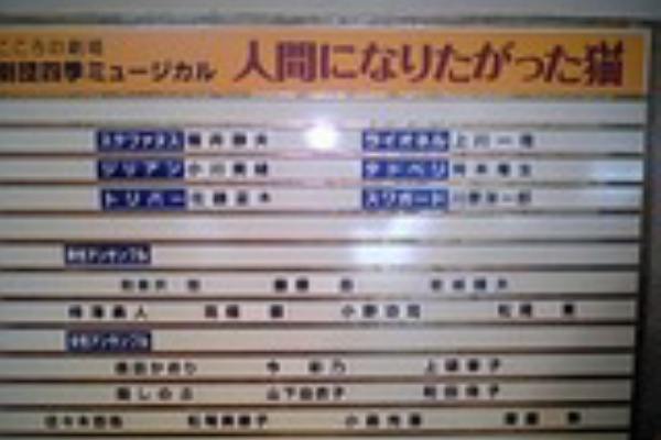 舞台観たい みたいなw 記録用 人間になりたがった猫