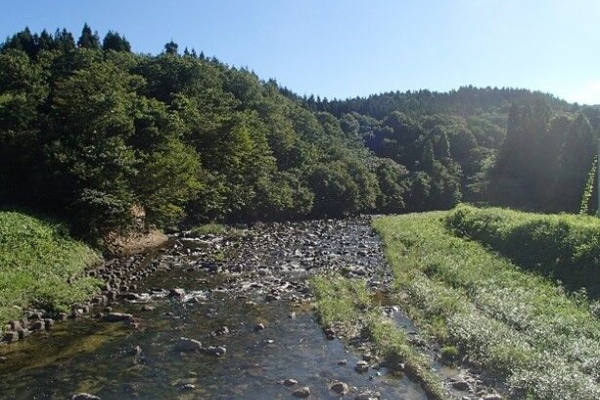 冬ソナの主人公達といつも一緒 Tyunnsanのブログ 渓流釣りの旅 関川 山北紀行