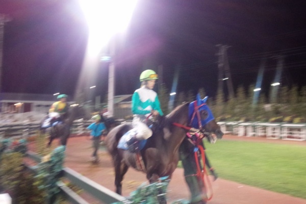 Shuji1854のblog 厩務員