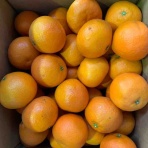 志津駅前　八百屋さん