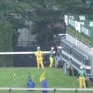 【注目新馬】11月1日・東京5R（芝1600m）に出走予定の注目馬は...？
