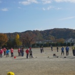 埼玉県ペタンク・ブール連盟