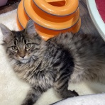 広島県呉市 ペットショップワンラブ呉焼山店のスタッフブログ