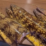 れストラン ゆず庵BLOG