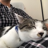 رƧޤɥ롦ž֡ؽ㤤٤β