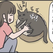 猫に忘れられてないか不安な娘