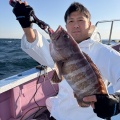イワシの泳がせ　マハタ
