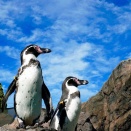 三重県の音響測定