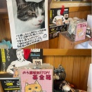 真心募金ありがとうございます《早瀬のひもの》