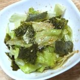 『味付け海苔と焼き海苔のサラダ』の画像